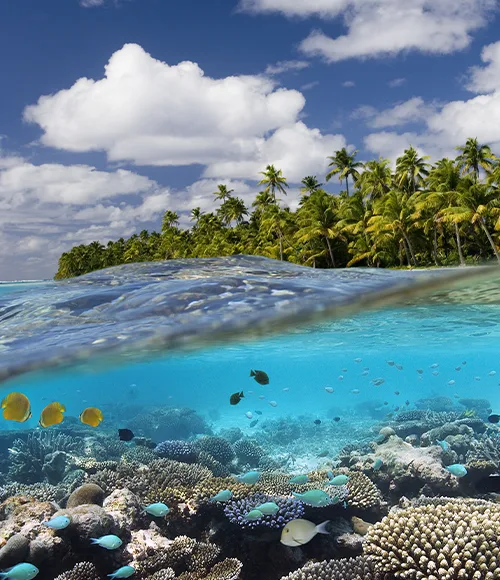 Oceanía